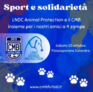 Scopri di più sull'articolo 𝐐𝐮𝐚𝐧𝐝𝐨 𝐥𝐨 𝐬𝐩𝐨𝐫𝐭 𝐢𝐧𝐜𝐨𝐧𝐭𝐫𝐚 𝐥𝐚 𝐜𝐨𝐝𝐚 𝐝𝐞𝐥𝐥’𝐚𝐦𝐢𝐜𝐢𝐳𝐢𝐚